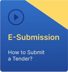 How to submit a tender?